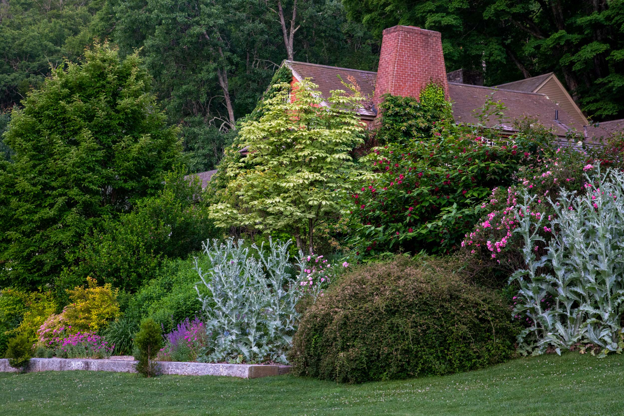 Connecticut Gardens, Hollister House Gardens, Caryn B Davis