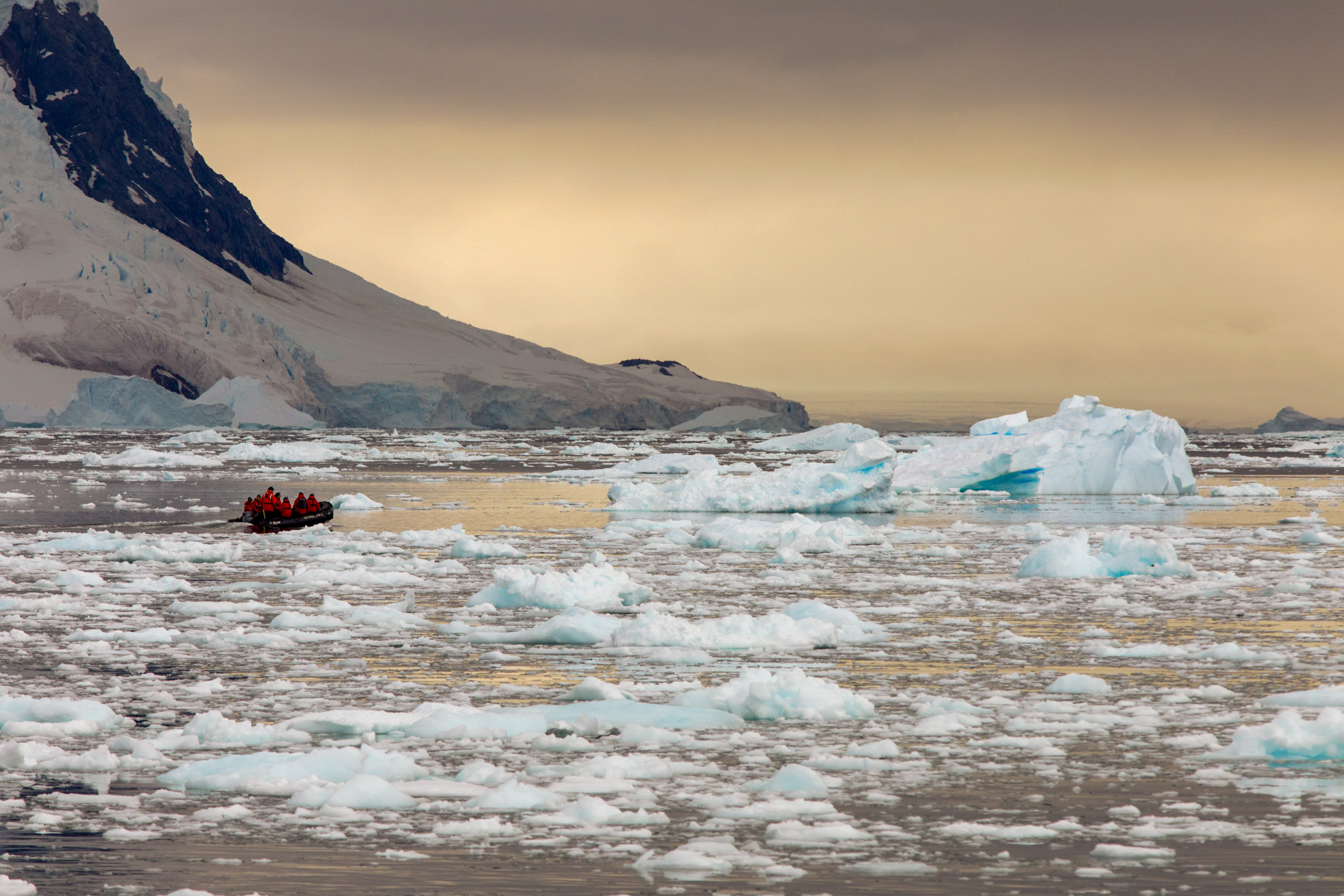 Travel Photographer, Caryn B Davis, Neko Harbor, Antarctica, The Continent