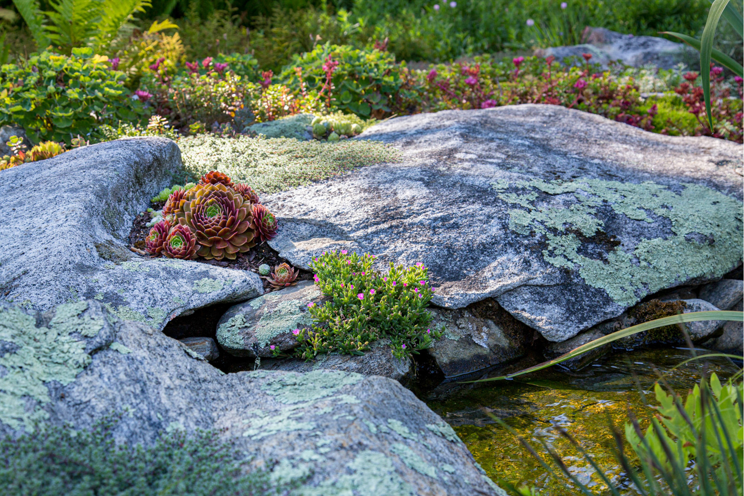 Garden Design Photographer in CT Caryn B Davis
