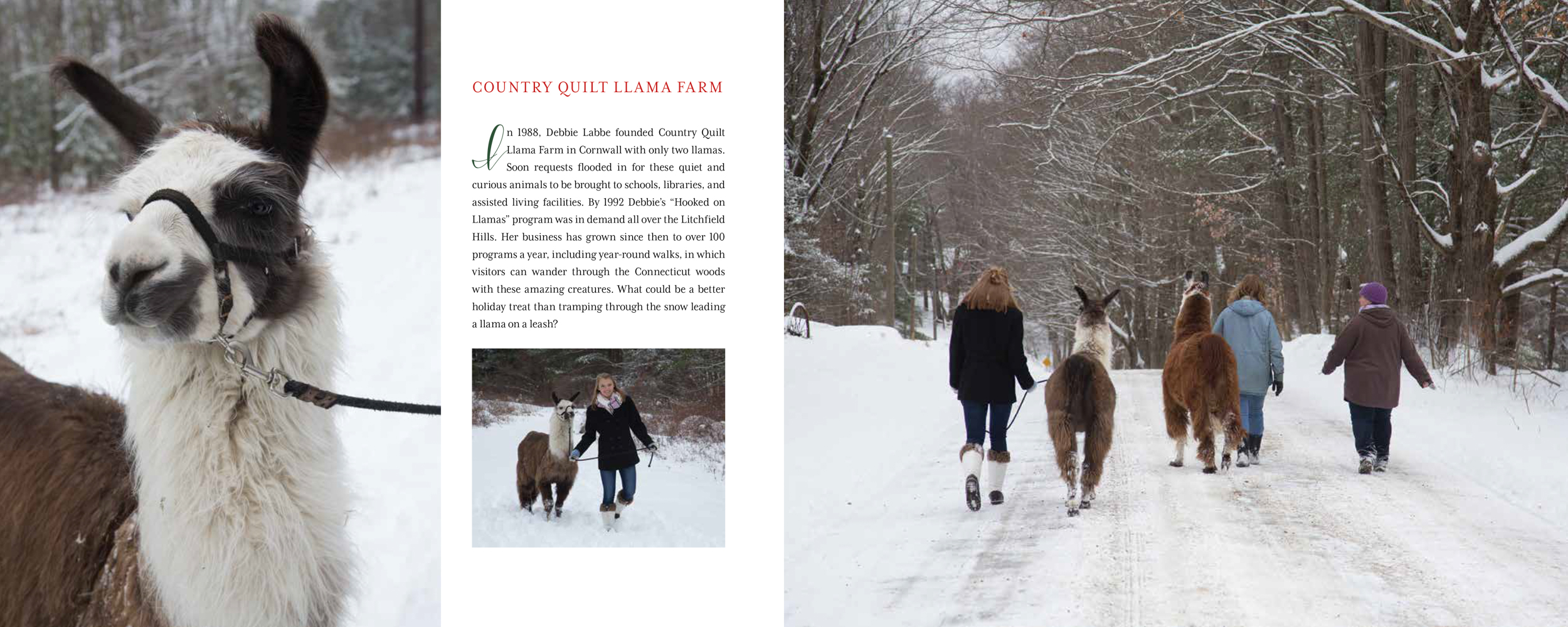 A Connecticut Christmas  Country Quilt Llamas Caryn B Davis